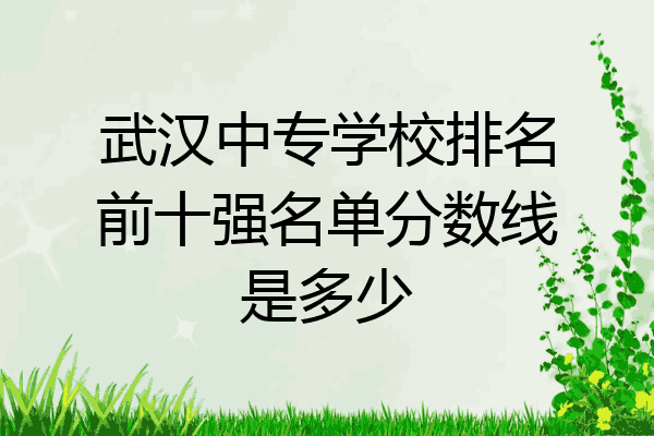 武汉中专学校排名前十强名单分数线是多少