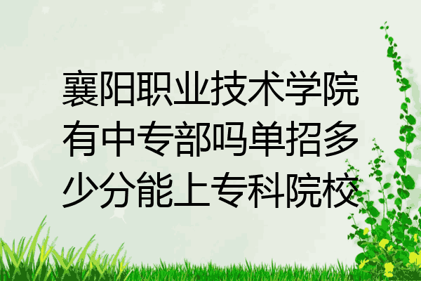襄阳职业技术学院有中专部吗单招多少分能上专科院校