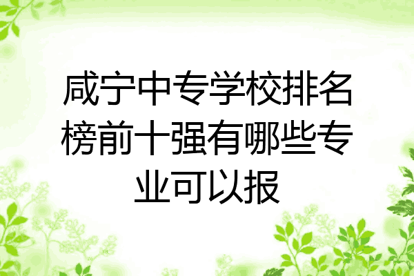 咸宁中专学校排名榜前十强有哪些专业可以报