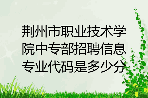 荆州市职业技术学院中专部招聘信息专业代码是多少分