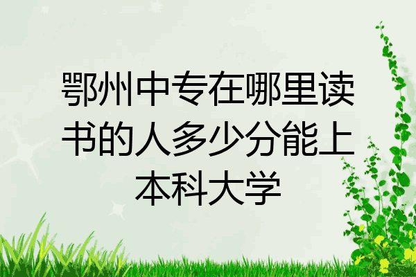 鄂州中专在哪里读书的人多少分能上本科大学
