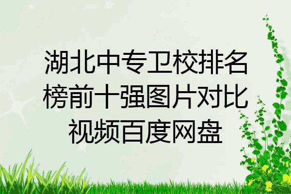 湖北中专卫校排名榜前十强图片对比视频百度网盘