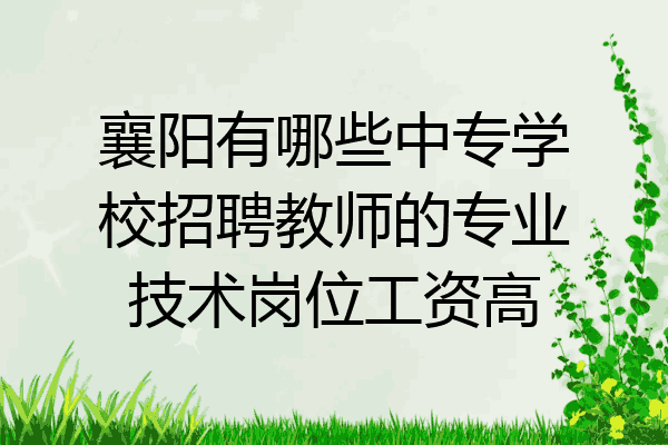 襄阳有哪些中专学校招聘教师的专业技术岗位工资高