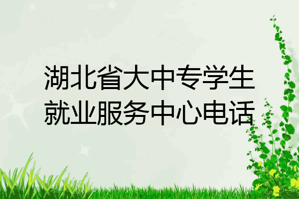 湖北省大中专学生就业服务中心电话