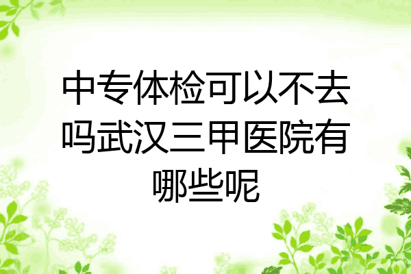 中专体检可以不去吗武汉三甲医院有哪些呢