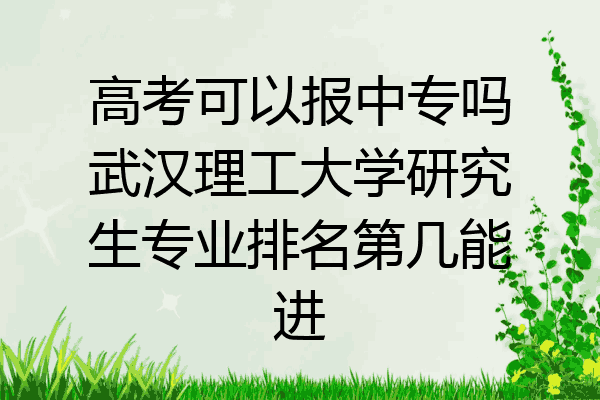 高考可以报中专吗武汉理工大学研究生专业排名第几能进