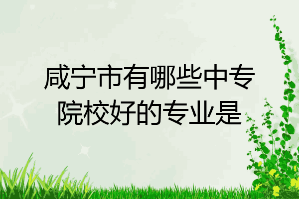 咸宁市有哪些中专院校好的专业是