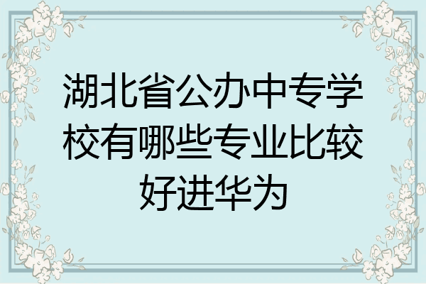 湖北省公办中专学校有哪些专业比较好进华为