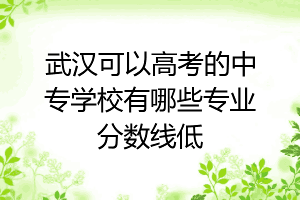 武汉可以高考的中专学校有哪些专业分数线低