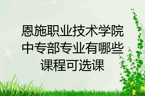 恩施职业技术学院中专部专业有哪些课程可选课