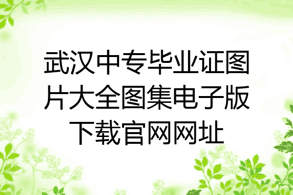 武汉中专毕业证图片大全图集电子版下载官网网址