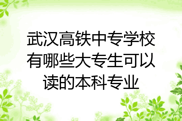 武汉高铁中专学校有哪些大专生可以读的本科专业