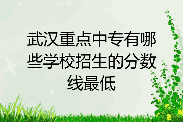 武汉重点中专有哪些学校招生的分数线最低