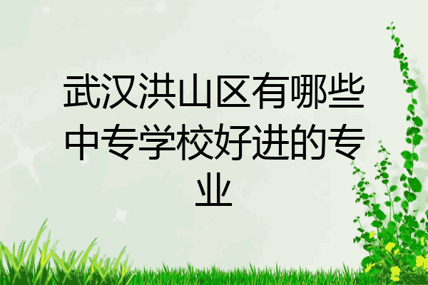 武汉洪山区有哪些中专学校好进的专业
