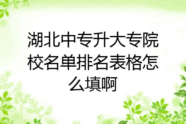 湖北中专升大专院校名单排名表格怎么填啊