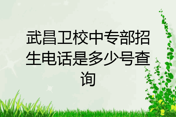 武昌卫校中专部招生电话是多少号查询