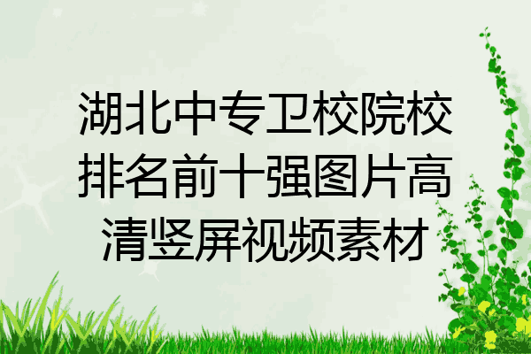 湖北中专卫校院校排名前十强图片高清竖屏视频素材