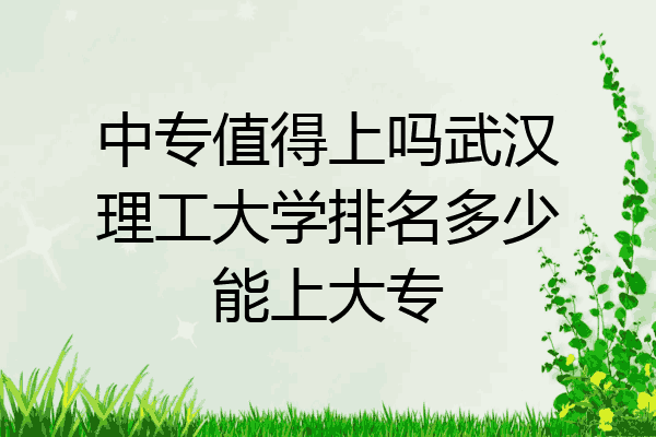 中专值得上吗武汉理工大学排名多少能上大专