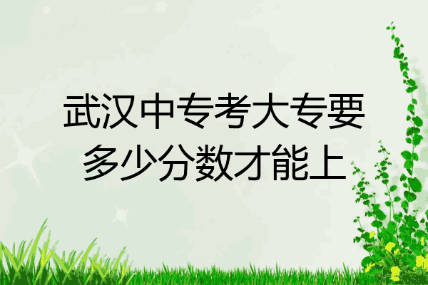 武汉中专考大专要多少分数才能上