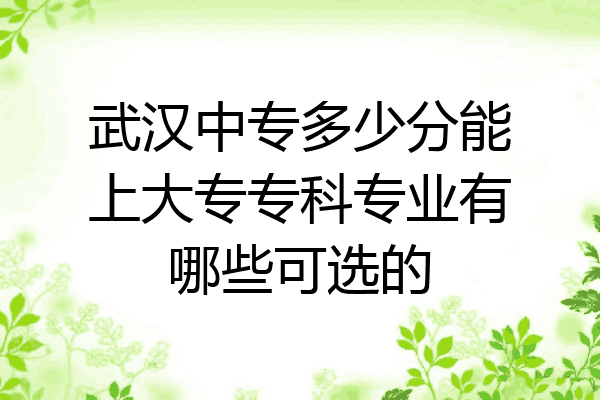 武汉中专多少分能上大专专科专业有哪些可选的