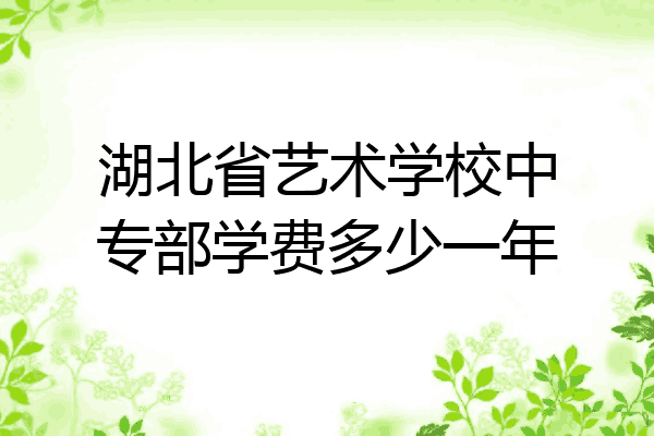 湖北省艺术学校中专部学费多少一年