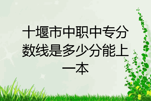 十堰市中职中专分数线是多少分能上一本