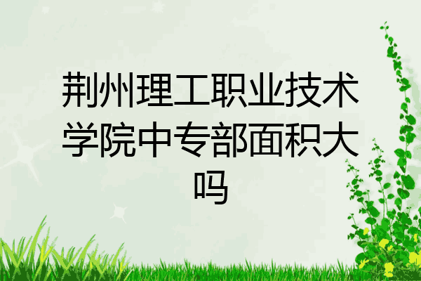 荆州理工职业技术学院中专部面积大吗