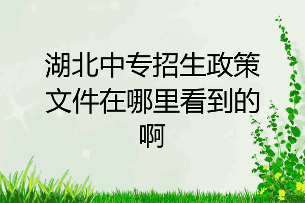 湖北中专招生政策文件在哪里看到的啊