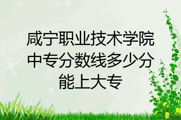 咸宁职业技术学院中专分数线多少分能上大专