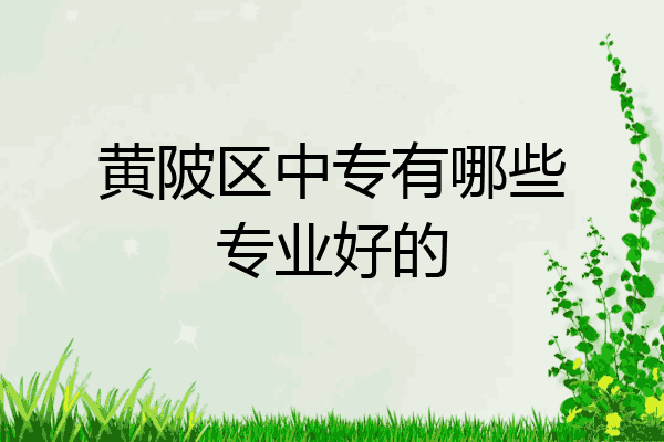 黄陂区中专有哪些专业好的
