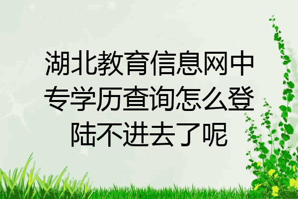 湖北教育信息网中专学历查询怎么登陆不进去了呢