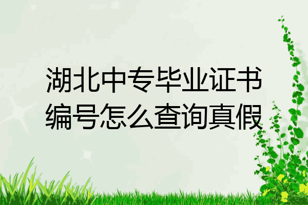 湖北中专毕业证书编号怎么查询真假