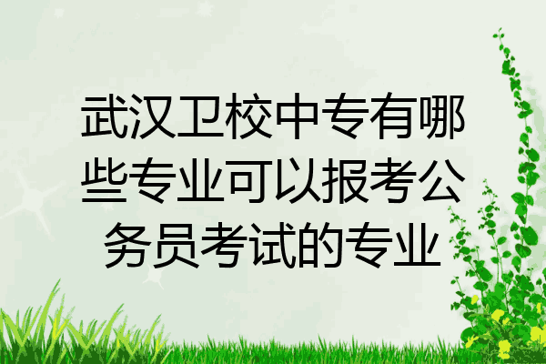 武汉卫校中专有哪些专业可以报考公务员考试的专业