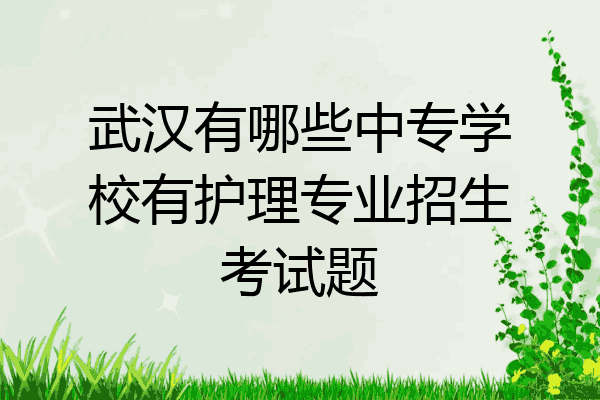 武汉有哪些中专学校有护理专业招生考试题