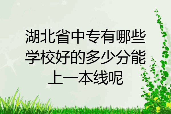 湖北省中专有哪些学校好的多少分能上一本线呢