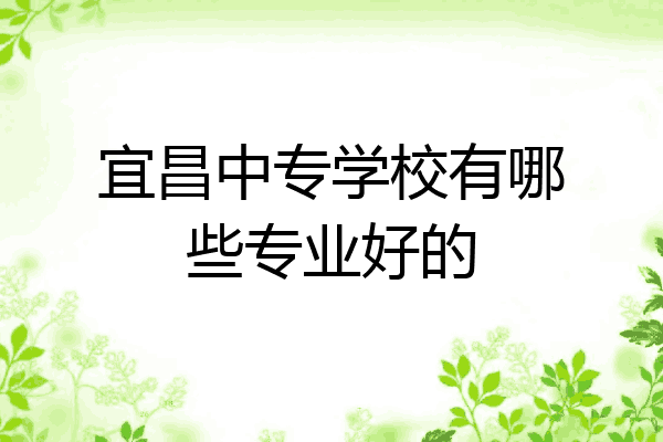 宜昌中专学校有哪些专业好的