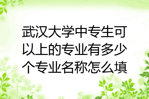 武汉大学中专生可以上的专业有多少个专业名称怎么填