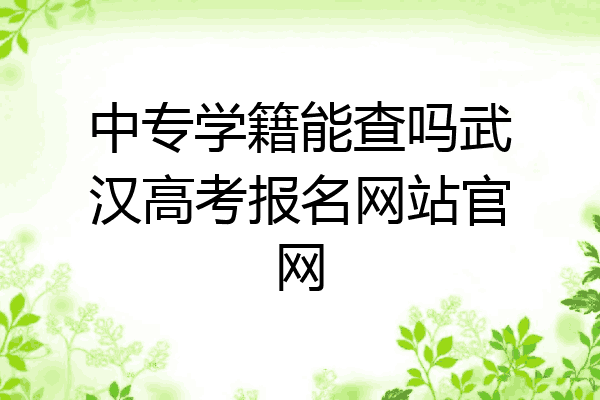 中专学籍能查吗武汉高考报名网站官网