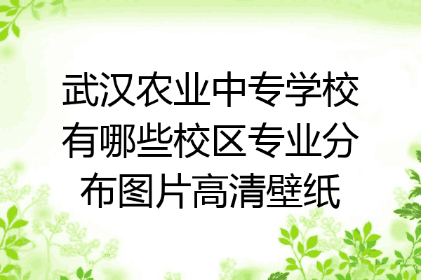 武汉农业中专学校有哪些校区专业分布图片高清壁纸