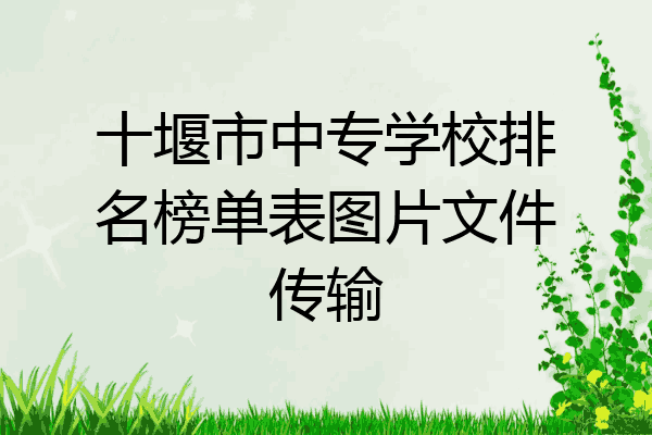 十堰市中专学校排名榜单表图片文件传输