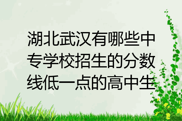 湖北武汉有哪些中专学校招生的分数线低一点的高中生