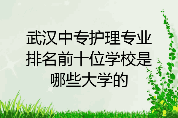 武汉中专护理专业排名前十位学校是哪些大学的