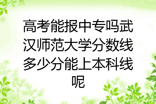 高考能报中专吗武汉师范大学分数线多少分能上本科线呢