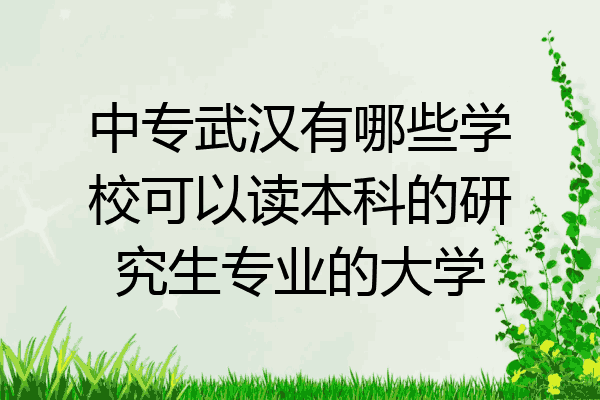 中专武汉有哪些学校可以读本科的研究生专业的大学
