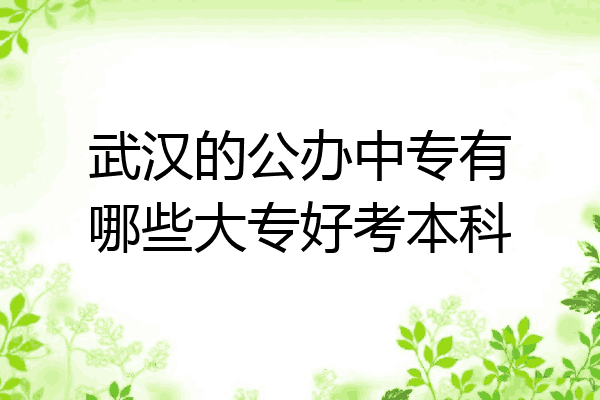 武汉的公办中专有哪些大专好考本科