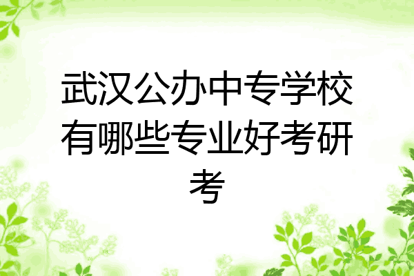 武汉公办中专学校有哪些专业好考研考