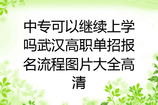 中专可以继续上学吗武汉高职单招报名流程图片大全高清