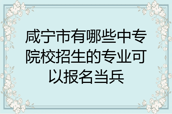 咸宁市有哪些中专院校招生的专业可以报名当兵