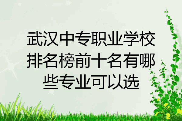 武汉中专职业学校排名榜前十名有哪些专业可以选