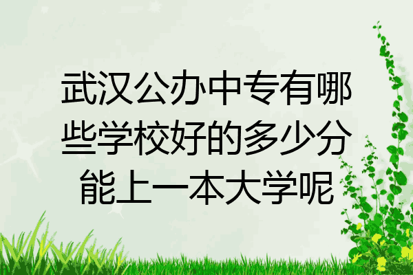 武汉公办中专有哪些学校好的多少分能上一本大学呢